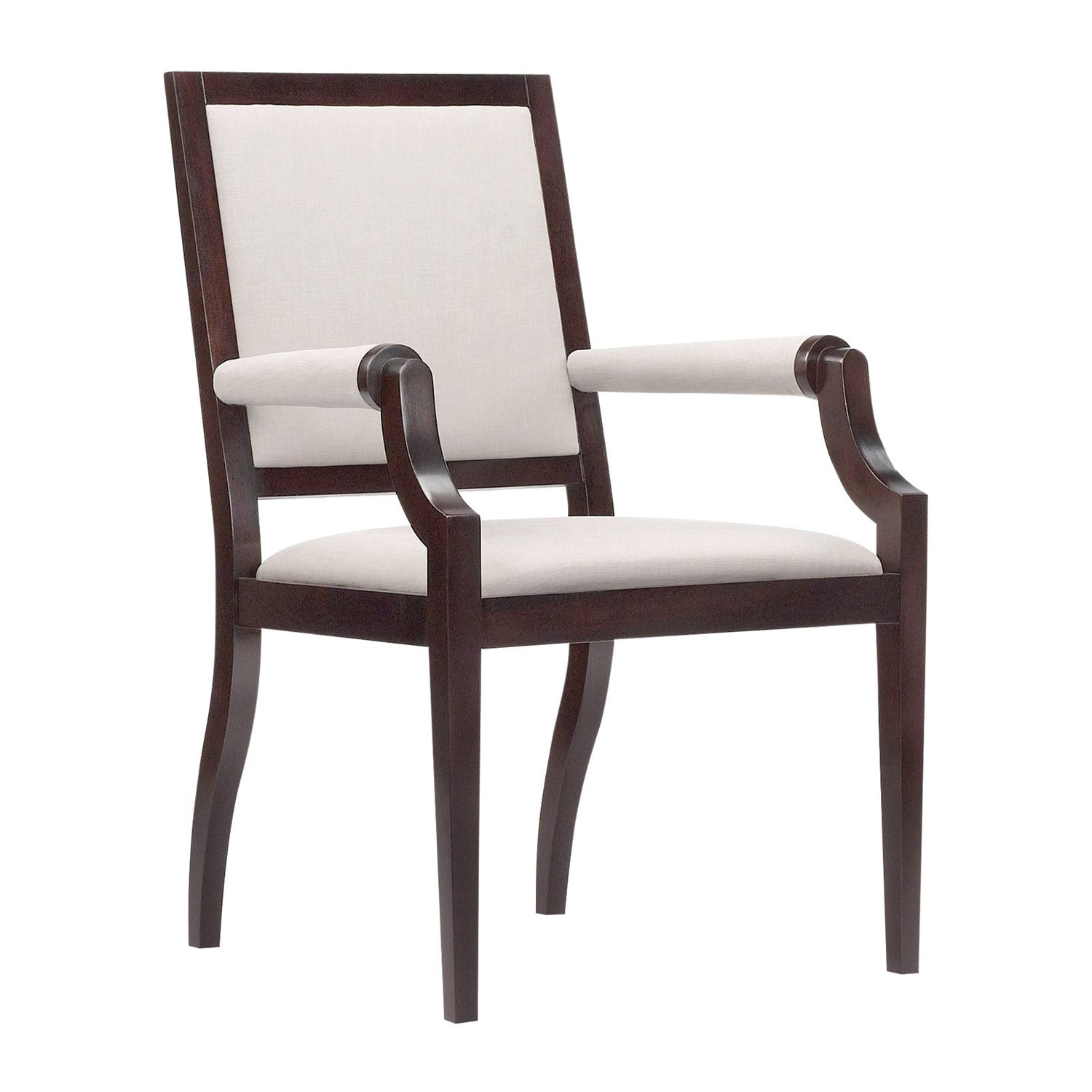 Modern Luxury Dining Chair