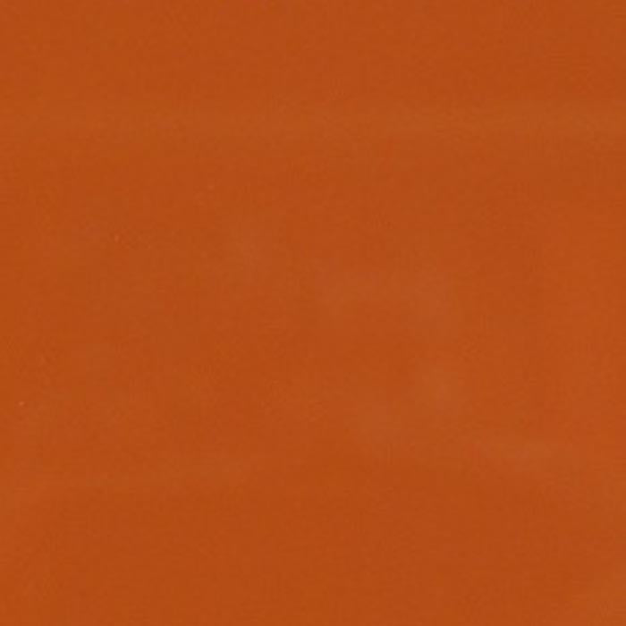 High Gloss Orange Lacquer