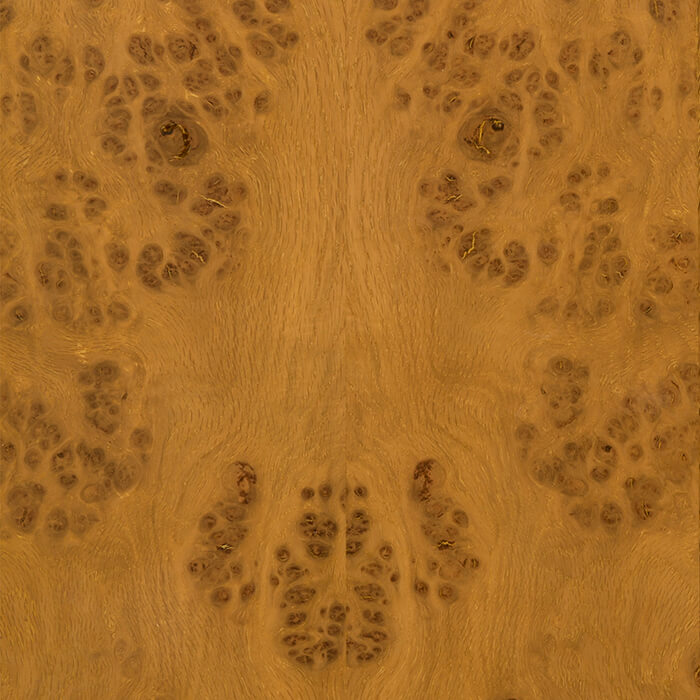 Cluster Oak