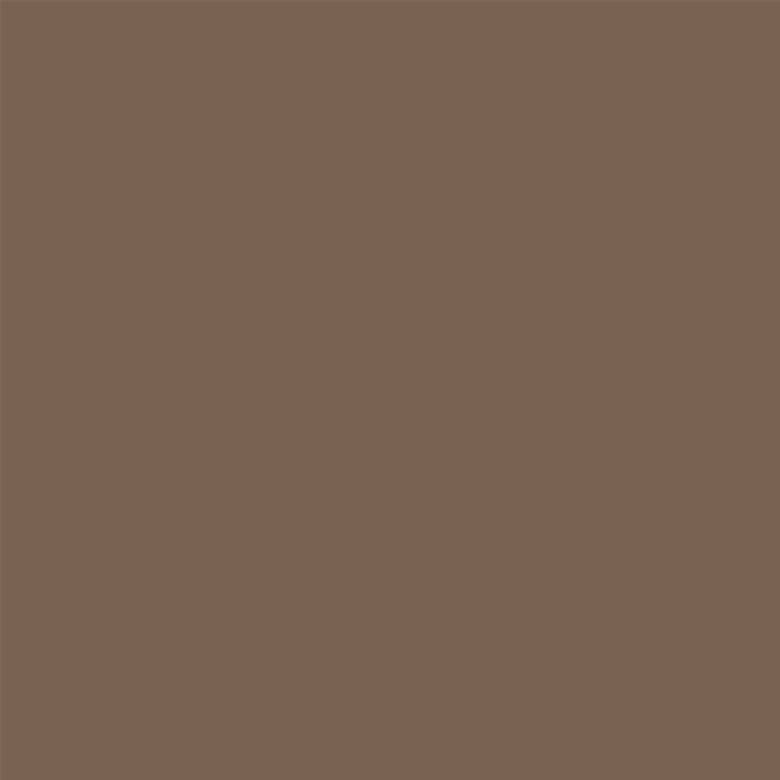 Warm Dark Gray