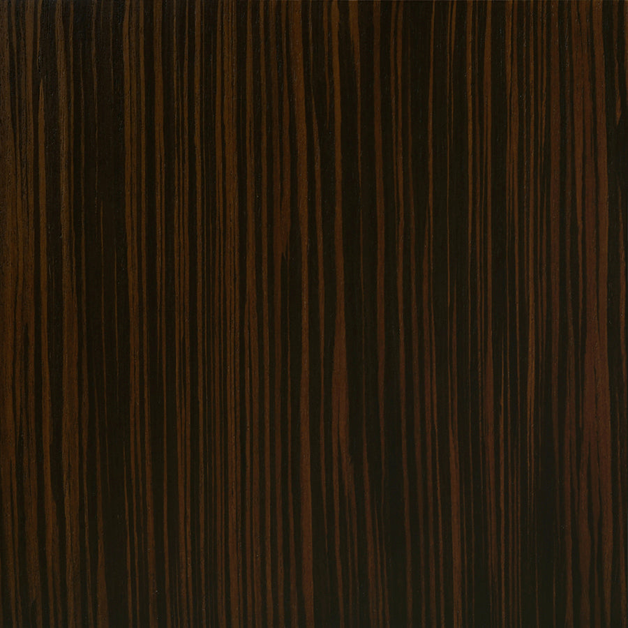 Ebony EV