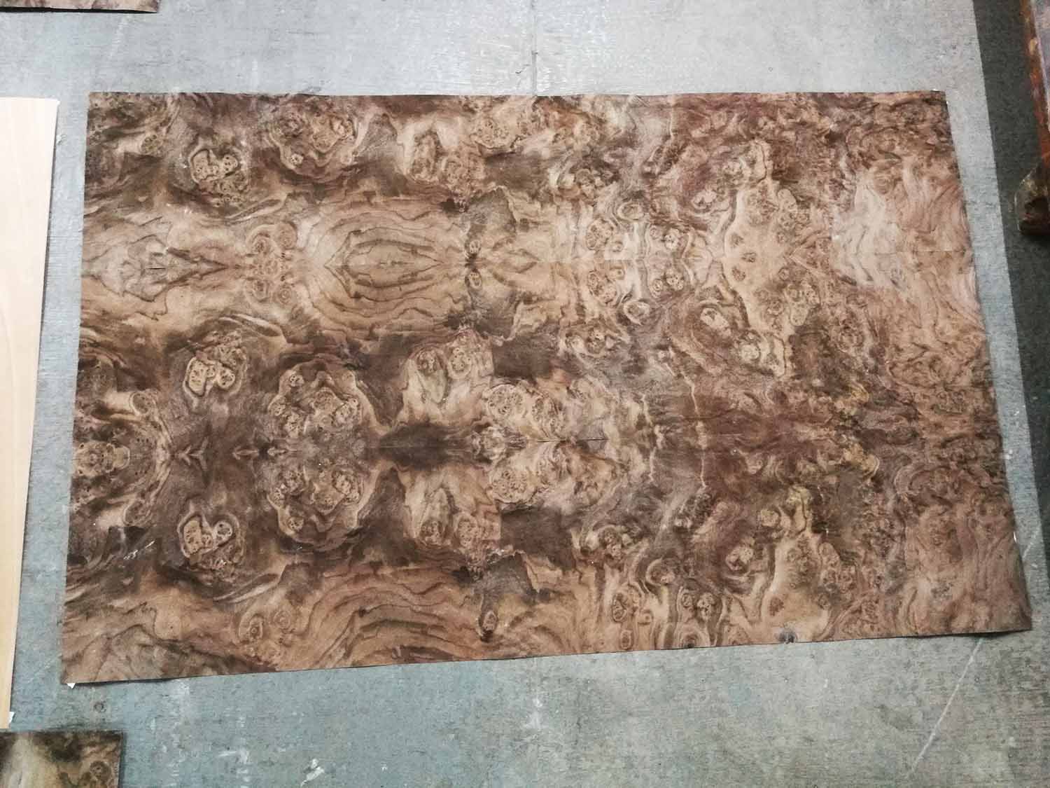 walnut burl veneer leyout